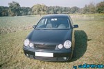 polo2003-02.jpg