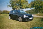 polo2003-08.jpg