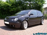 Polo2004-05.jpg