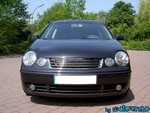 Polo2004-15.jpg