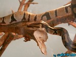 2-261203-1.jpg