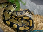 080804-11.jpg
