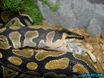 080804-12.jpg
