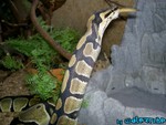 080804-17.jpg