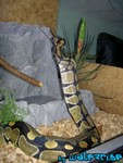 080804-18.jpg
