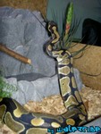 080804-19.jpg