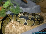 080804-22.jpg