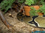 080804-24.jpg