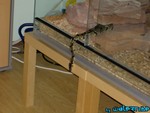 220904-11.jpg