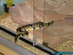 220904-12.jpg
