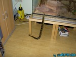 220904-15.jpg