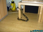 220904-16.jpg