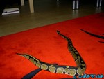 220904-19.jpg