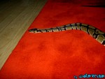 220904-20.jpg
