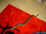 220904-21.jpg