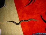 220904-22.jpg