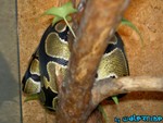 7-030704-4.jpg