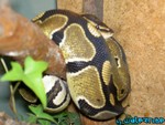 7-030704-5.jpg