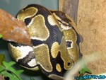 7-030704-6.jpg