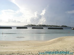 vilureef08-027.jpg
