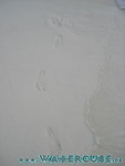 vilureef08-038.jpg