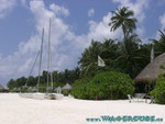 vilureef08-089.jpg