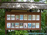 vilureef08-093.jpg