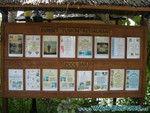 vilureef08-094.jpg