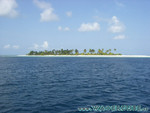 vilureef08-098.jpg