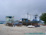 vilureef08-175.jpg