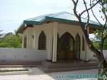 vilureef08-200.jpg