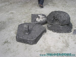 vilureef08-203.jpg