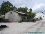 vilureef08-204.jpg