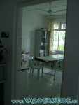 vilureef08-208.jpg