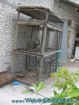 vilureef08-209.jpg