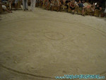 vilureef08-214.jpg