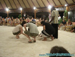 vilureef08-215.jpg