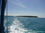 vilureef08-238.jpg