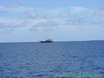vilureef08-245.jpg