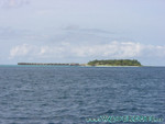 vilureef08-268.jpg