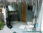 vilureef08-279.jpg