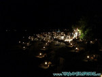 vilureef08-316.jpg