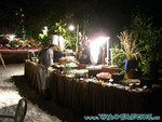 vilureef08-317.jpg