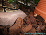 150608-24.jpg