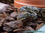 220608-03.jpg