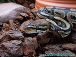 220608-05.jpg