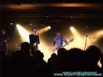 zeraphine-31.jpg