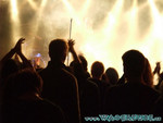 zeraphine-37.jpg