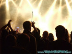 zeraphine-38.jpg