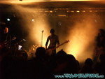 zeraphine-47.jpg